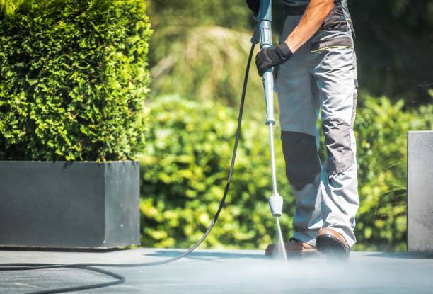 Best Driveway Pressure Washing  in Jacksonvle, IL